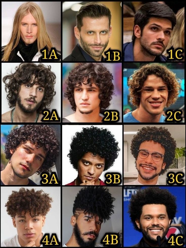 Types de cheveux homme guide