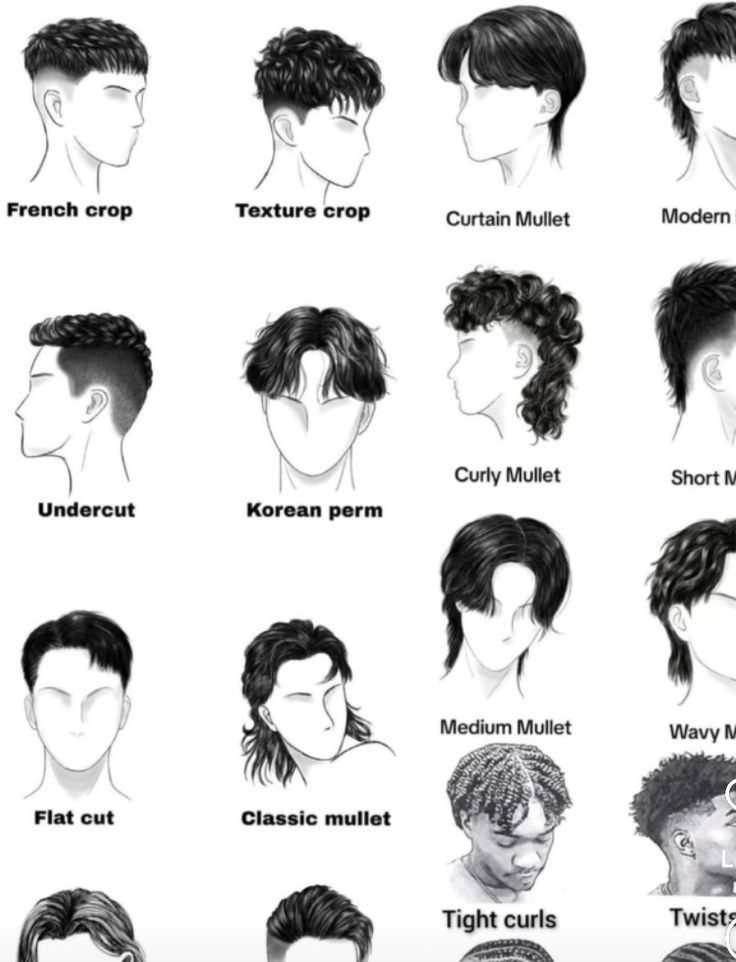 Types de cheveux homme guide