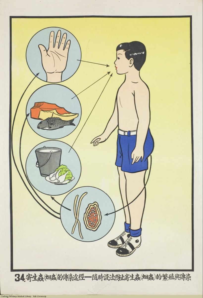 Législation code santé infirmier