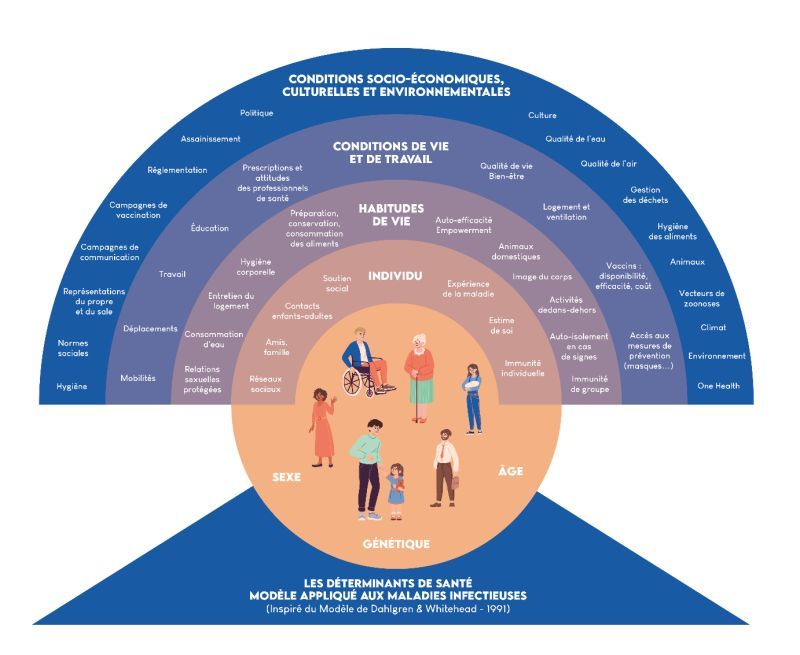 Conseil de santé publique