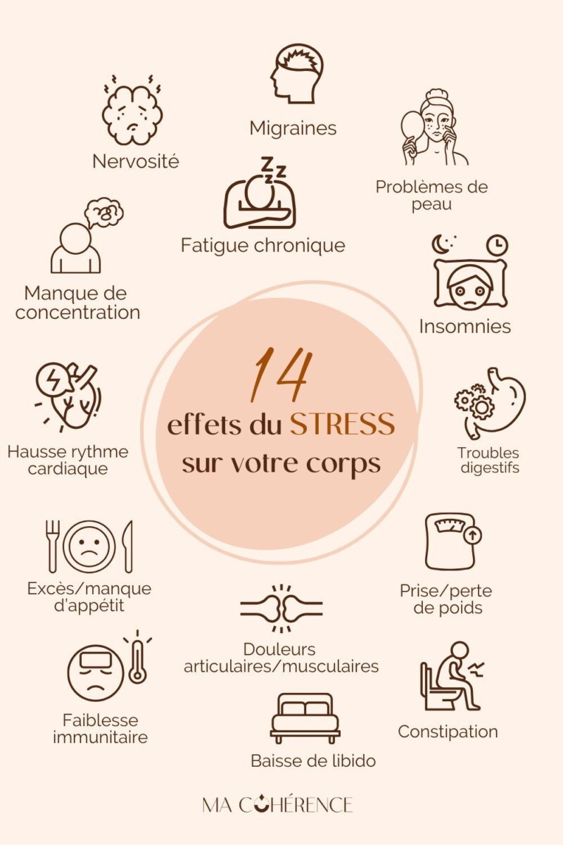 formation gestion stress essentielle