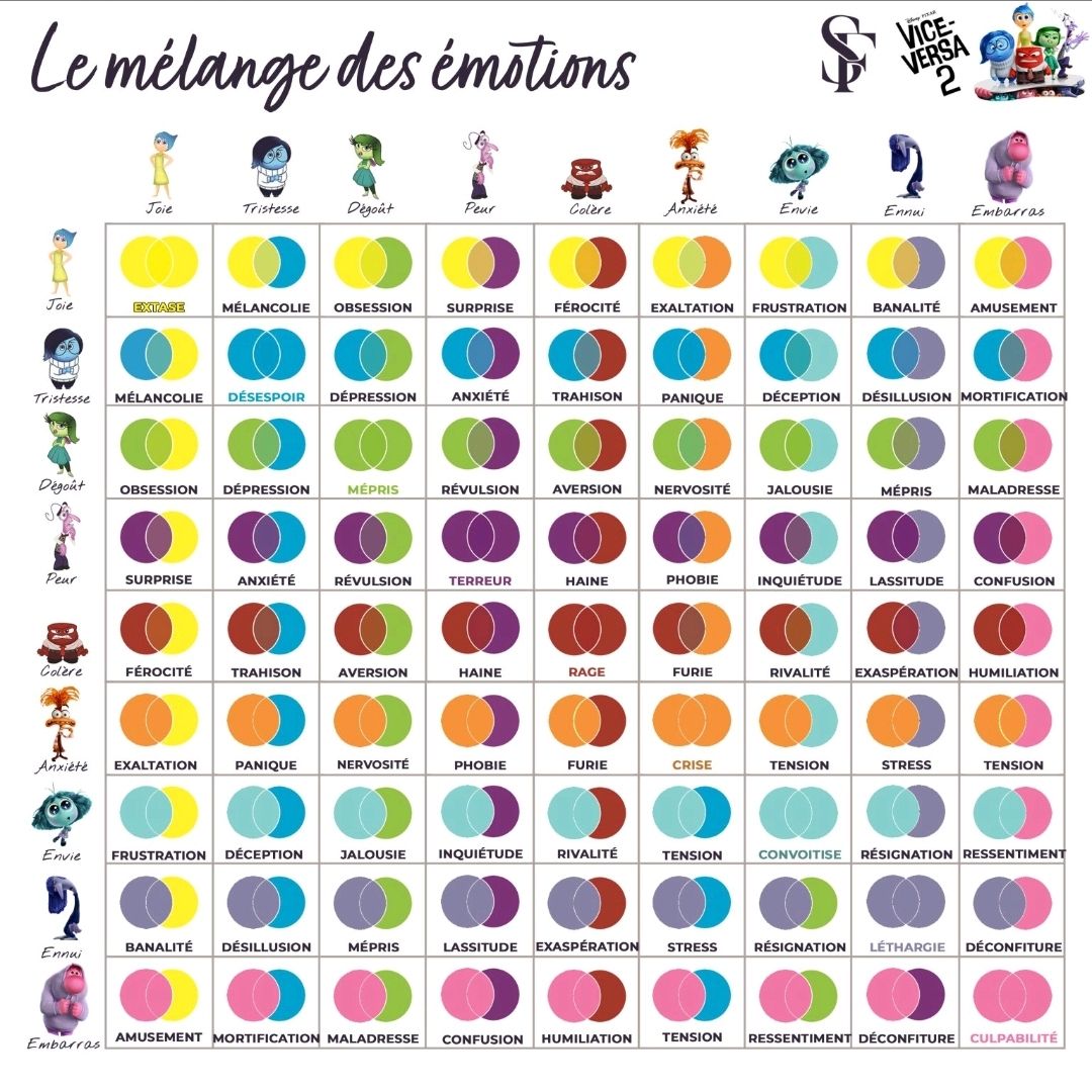 maîtriser les émotions stratégies