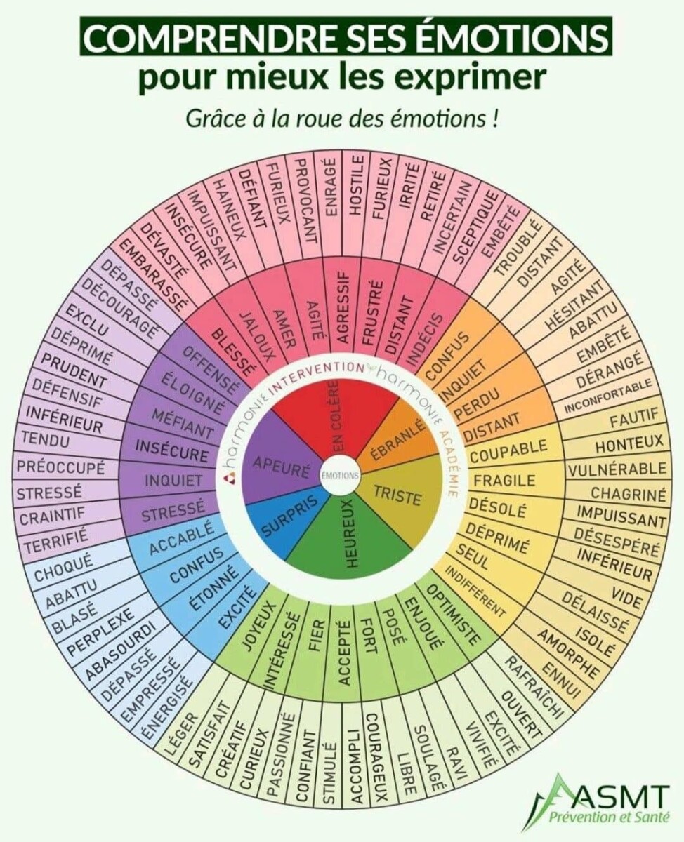 maîtriser les émotions stratégies