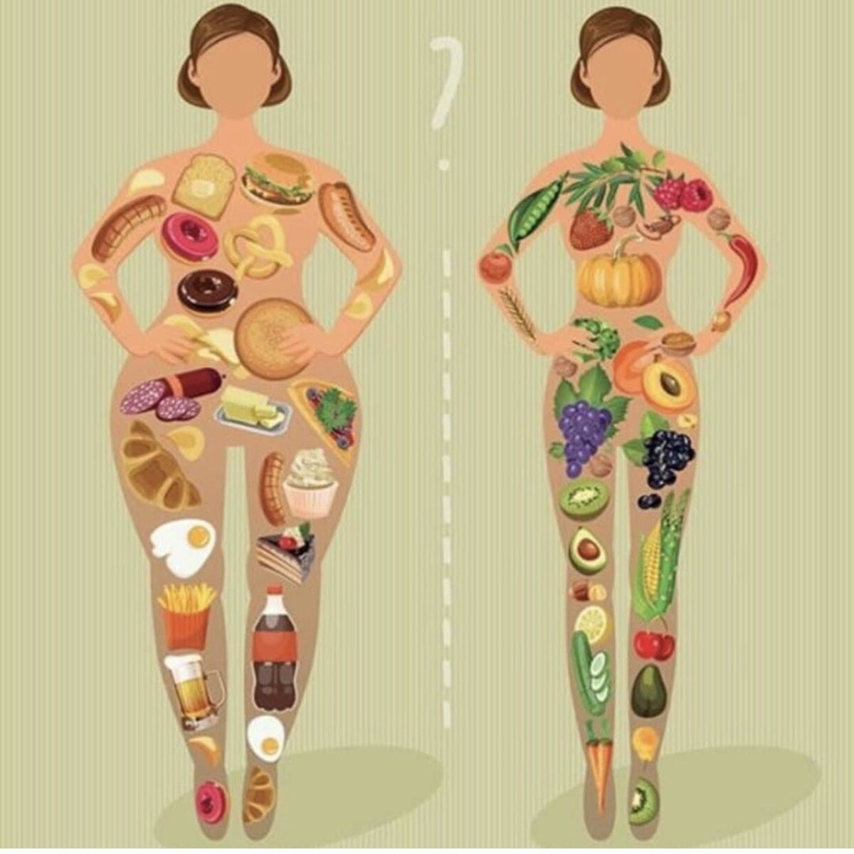 planification repas pour sportifs