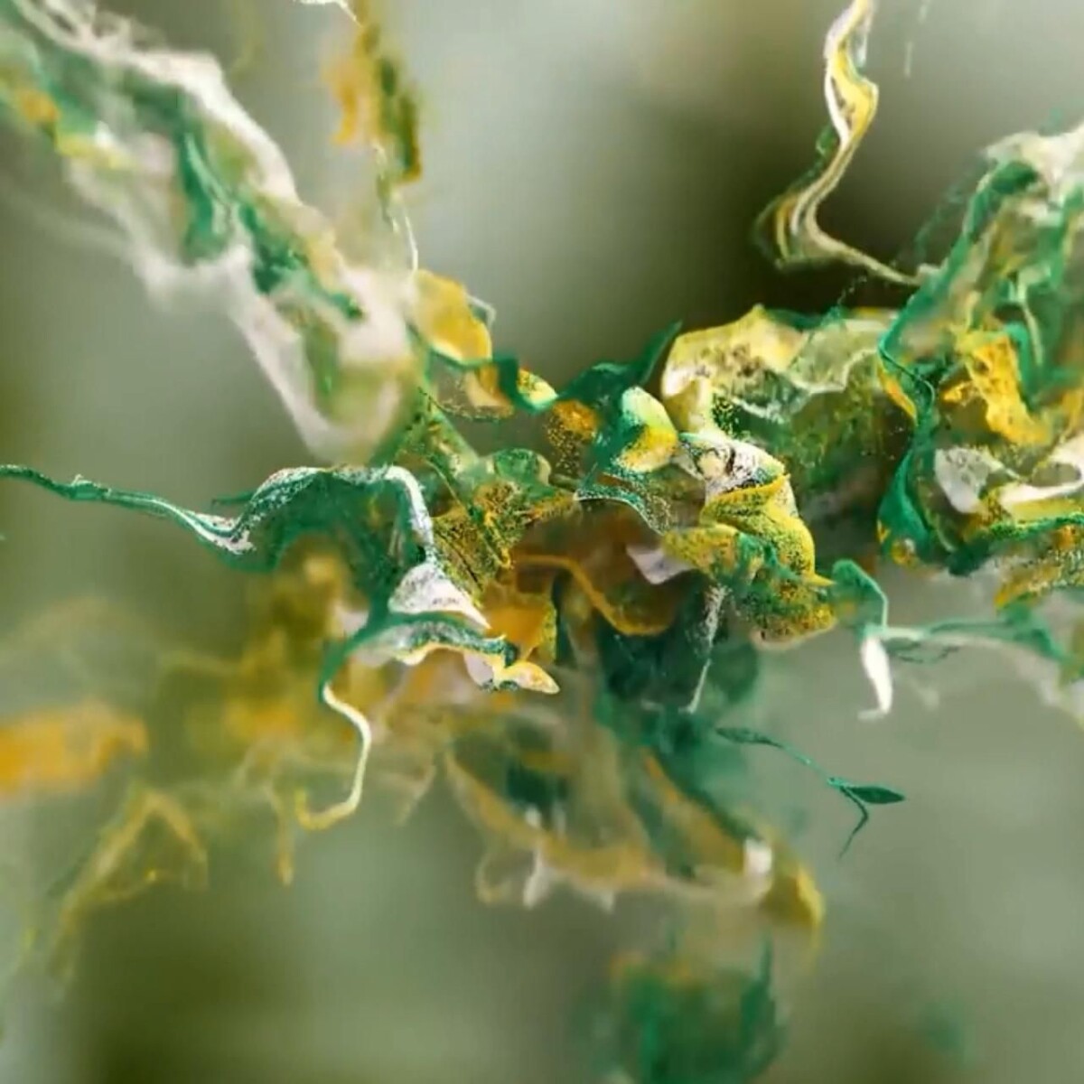 résultats soin botox capillaire