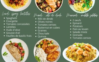 Les bases pour adopter une alimentation saine et équilibrée