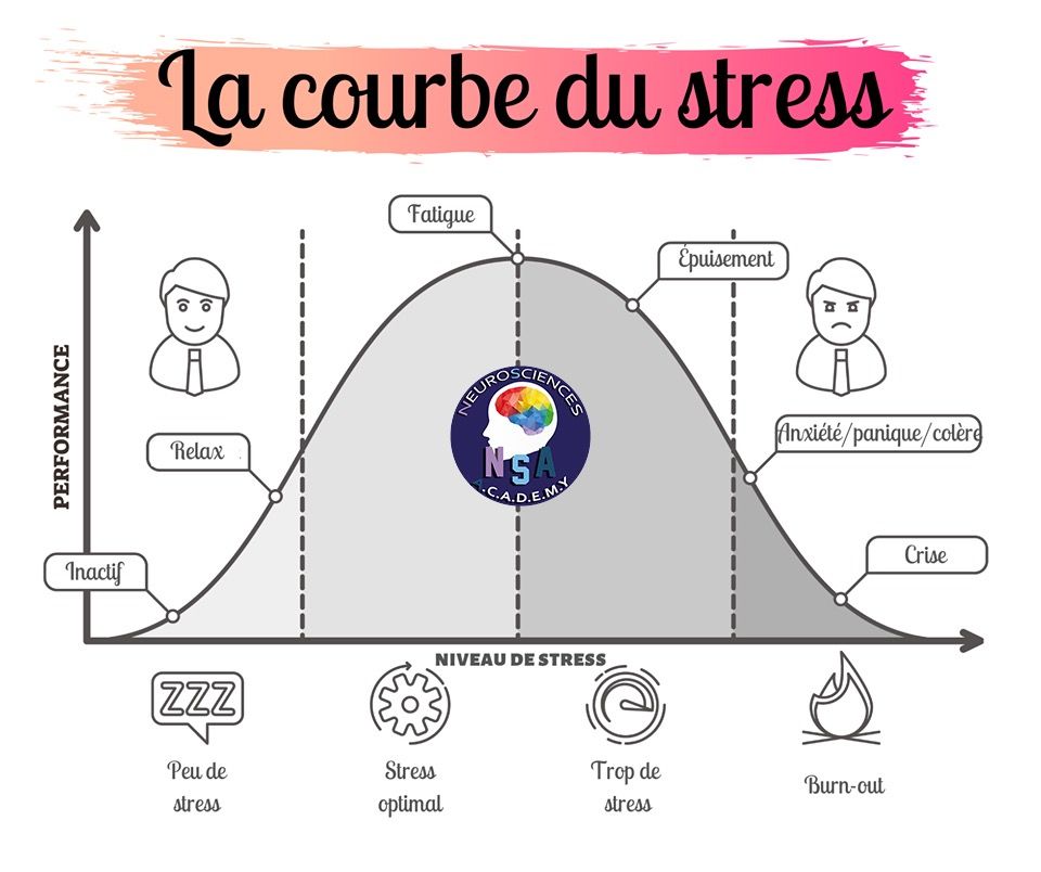 Conseils techniques gestion stress
