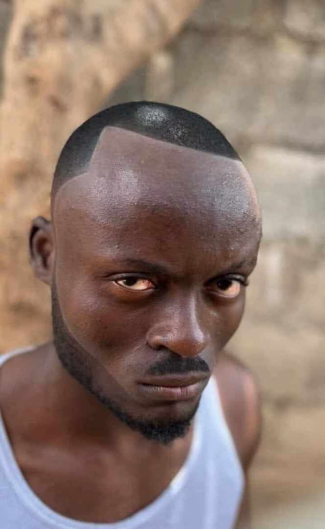 Court afro homme stylé